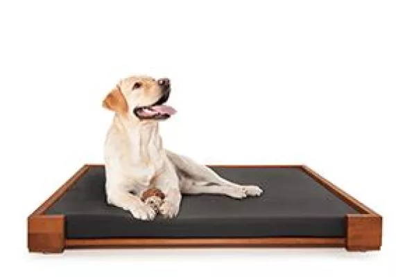 Bild: Bekannter US-Designer mit deutschen Wurzeln kreiert Hundebetten in Bioqualität