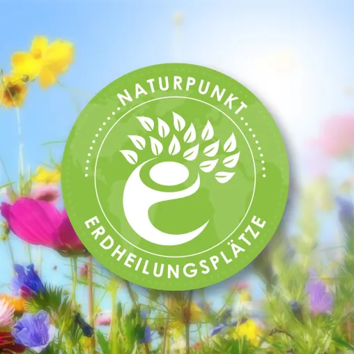 Bild: Naturpunkte - die neuen CO2-Zertifkate