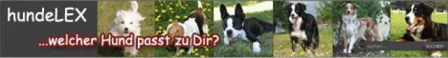 Bild: Der Weg zum Hund - Wissen schützt vor Überraschungen