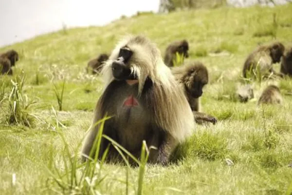Bild: Singlereise nach Äthiopien: Mit neuen Freunden nach Lalibela