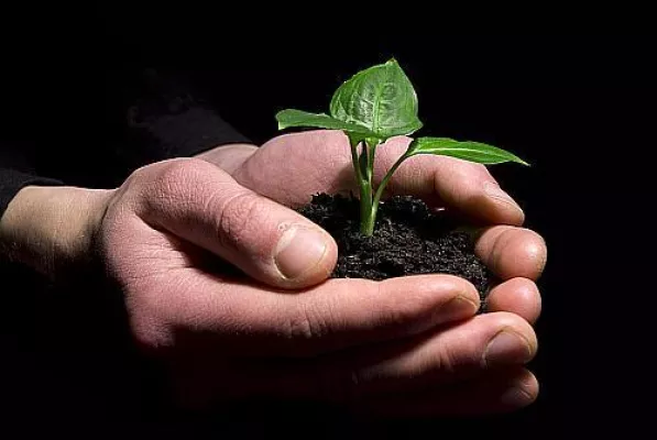 Bild: Sachwert schlägt Geldwert