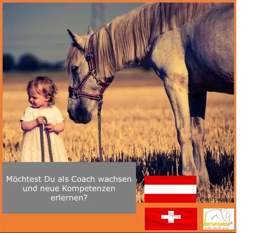 Bild: Train the Trainer für pferdegestütztes Coaching:  Neue Ausbildungsstandorte in der Schweiz und Österreich