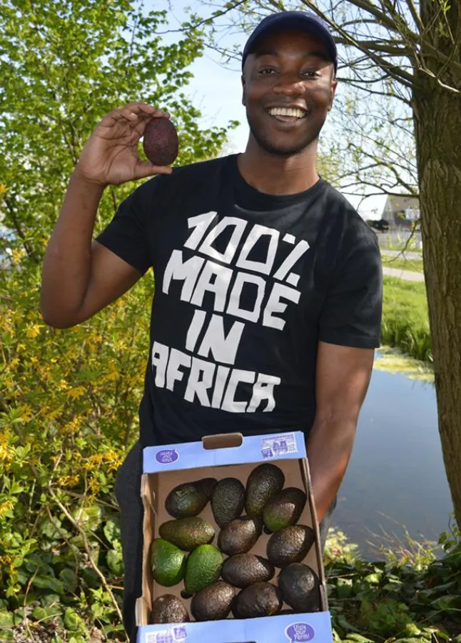 Produktmanager Neville Mchina freut sich über die hohe Qualität der Bio-Avocados aus Kenia. © Eosta