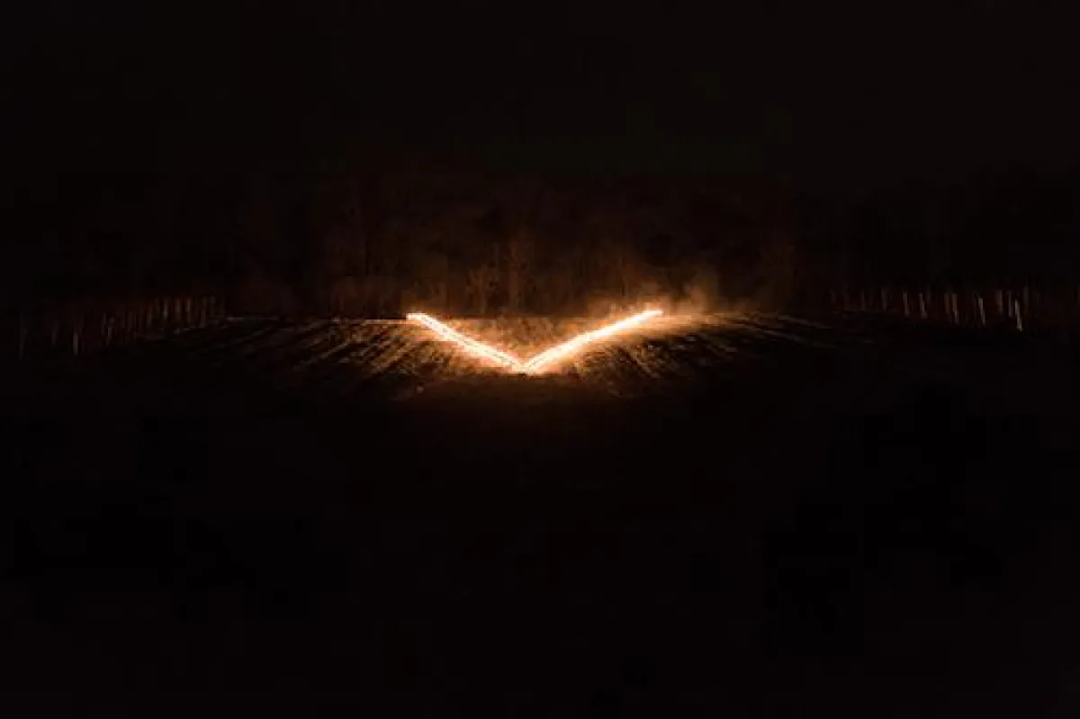 (Bild: Weinkonvent Dürrenzimmern)