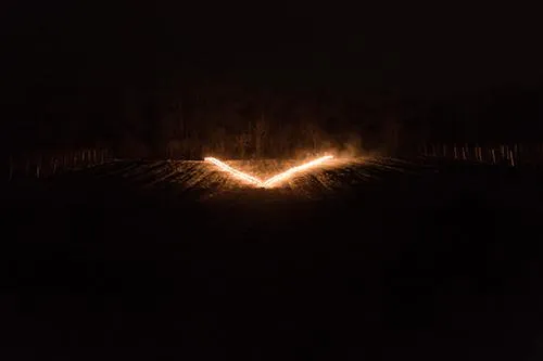 Bild: Erfolgreiche Feuertaufe im Weinberg