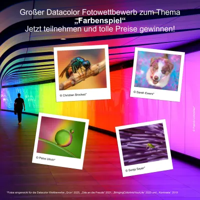 10 Jahre Datacolor® Fotowettbewerb: Jubiläumsrunde zum Thema „Farbenspiel“ Bild: 10 Jahre Datacolor® Fotowettbewerb: Jubiläumsrunde zum Thema „Farbenspiel“