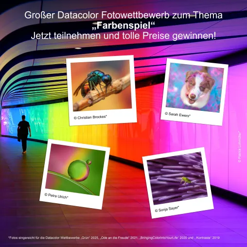 10 Jahre Datacolor® Fotowettbewerb: Jubiläumsrunde zum Thema „Farbenspiel“ Bild: 10 Jahre Datacolor® Fotowettbewerb: Jubiläumsrunde zum Thema „Farbenspiel“