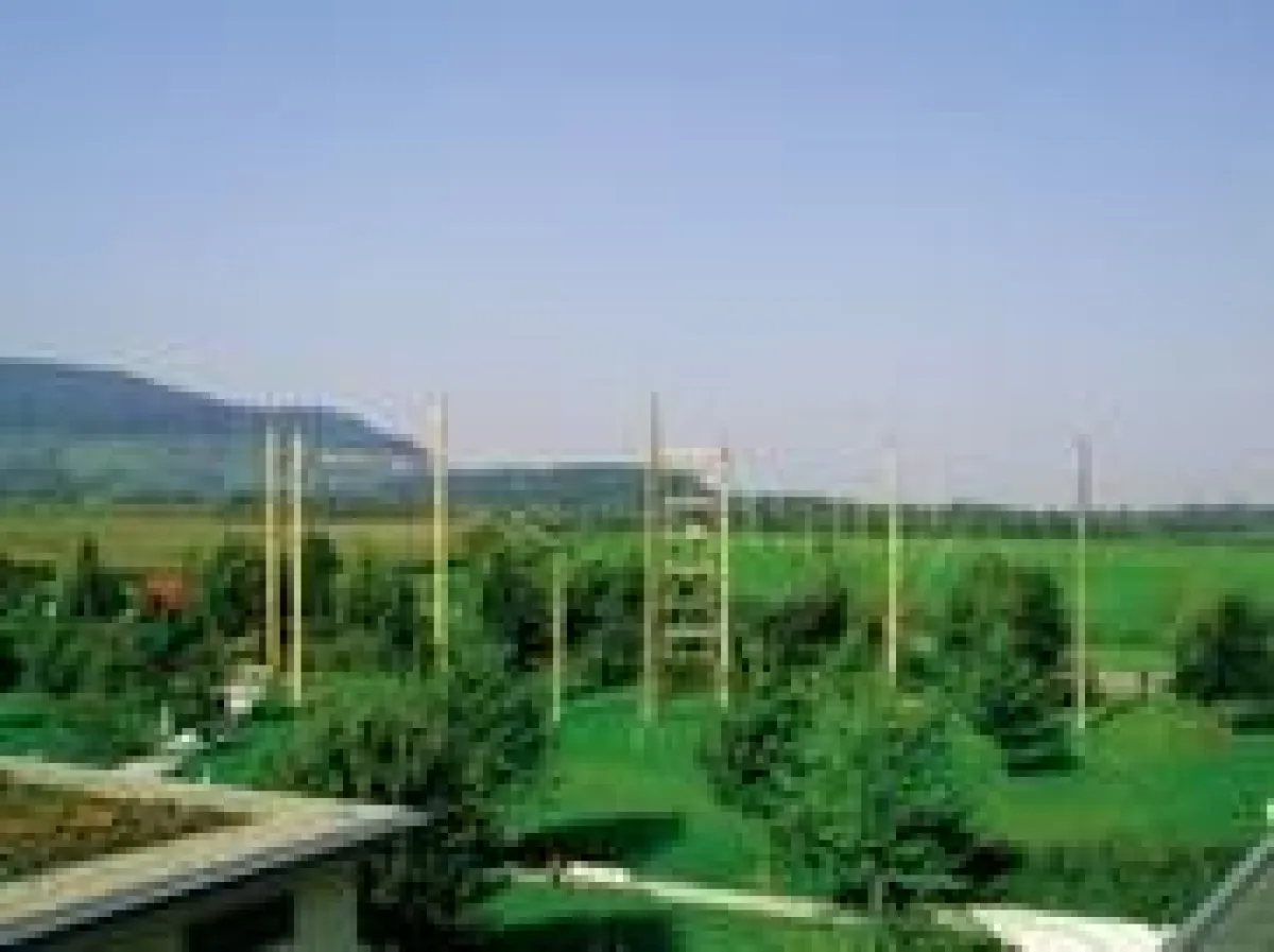 Der beliebte Hochseilgarten am Seminaris Hotel Bad Boll