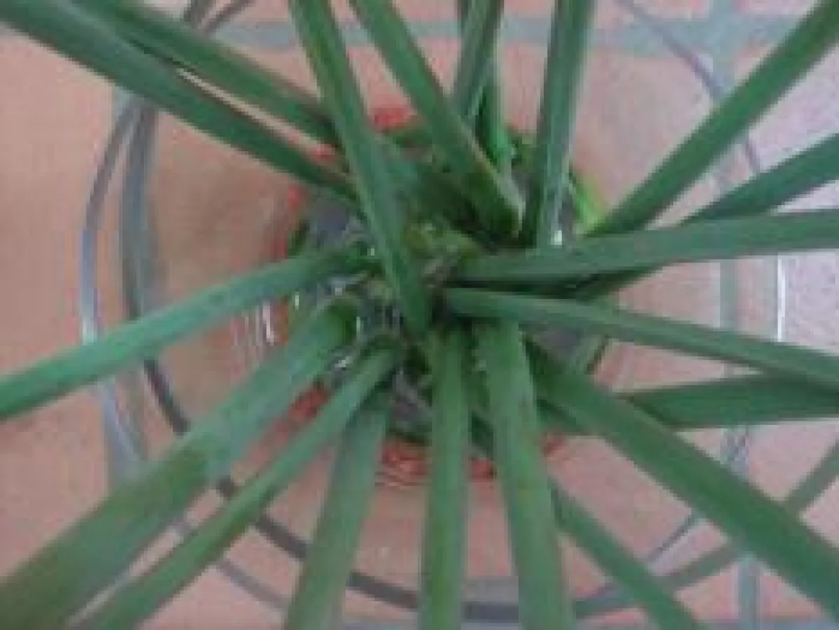 Perspektivwechsel empfohlen