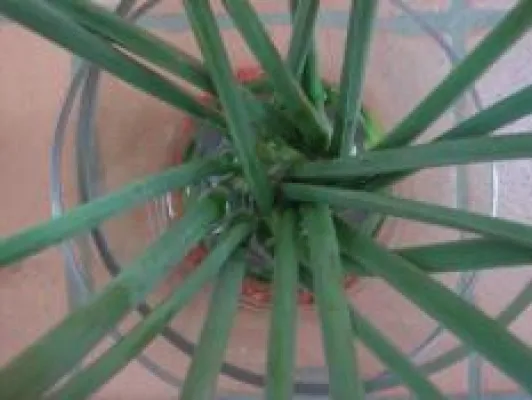 Bild: Zahnarztpraxis – Praxismanagement mit Netzwerk-Spezialisten