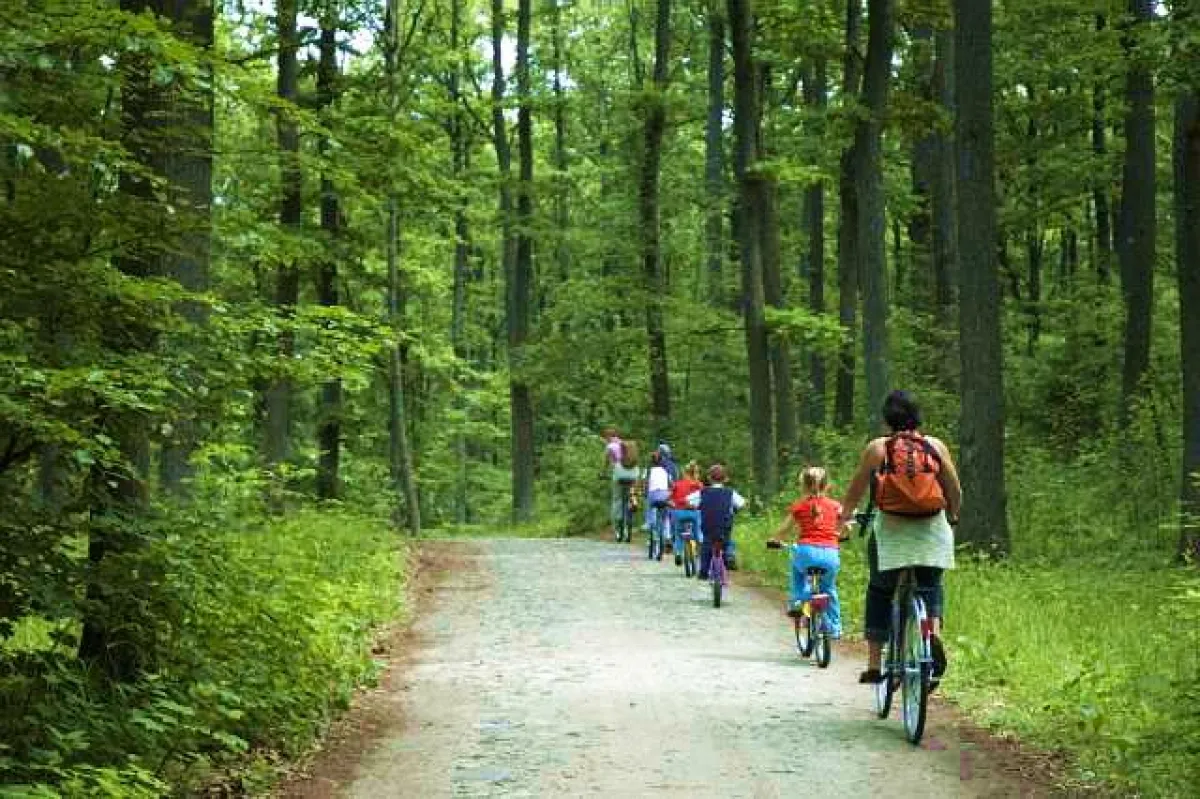 Aktivurlaub in Masuren (Polen)