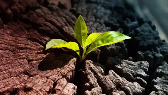 Berufsbegleitende Weiterbildung zum Change Mangement Coach Bild: Berufsbegleitende Weiterbildung zum Change Mangement Coach