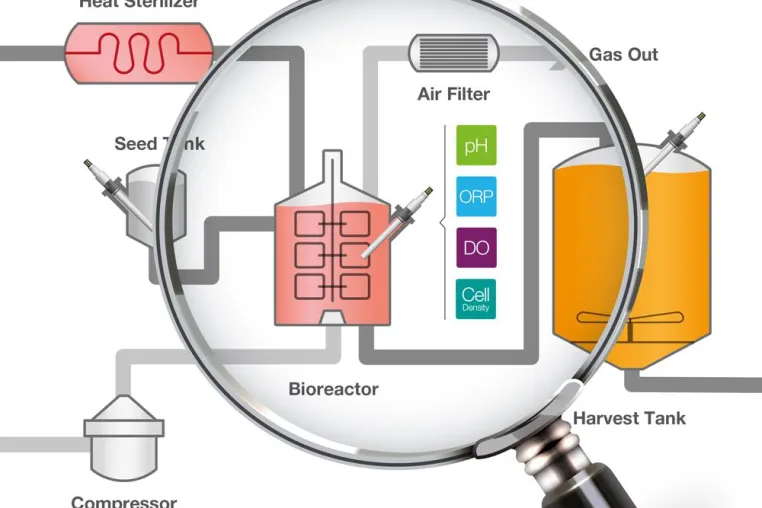 Bild: Kritische Prozessparameter im Bioreaktor