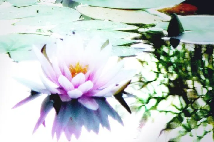 Bild: Lifestyle Horoskope