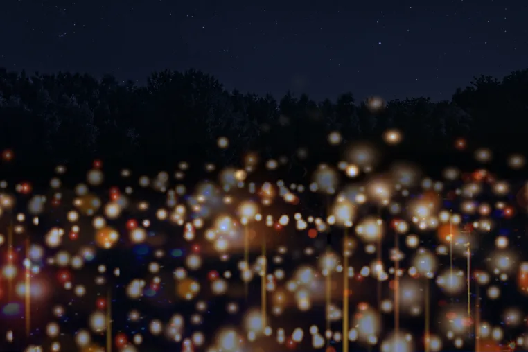 Bild: Neuer Kunstevent von 21 Million Lights im mystischen Innocentiapark in Hamburg