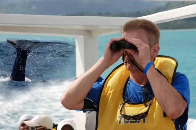 Bild: Mit SeavisTours „Whale Watching“ in der Dominikanischen Republik erleben