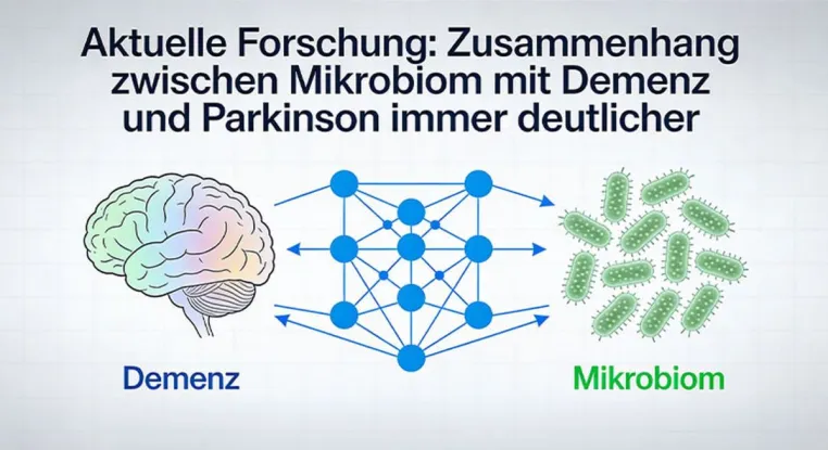Mikrobiom: Darmflora rückt bei der Alzheimer- und Parkinson-Prävention zunehmend in den Fokus Bild: Mikrobiom: Darmflora rückt bei der Alzheimer- und Parkinson-Prävention zunehmend in den Fokus