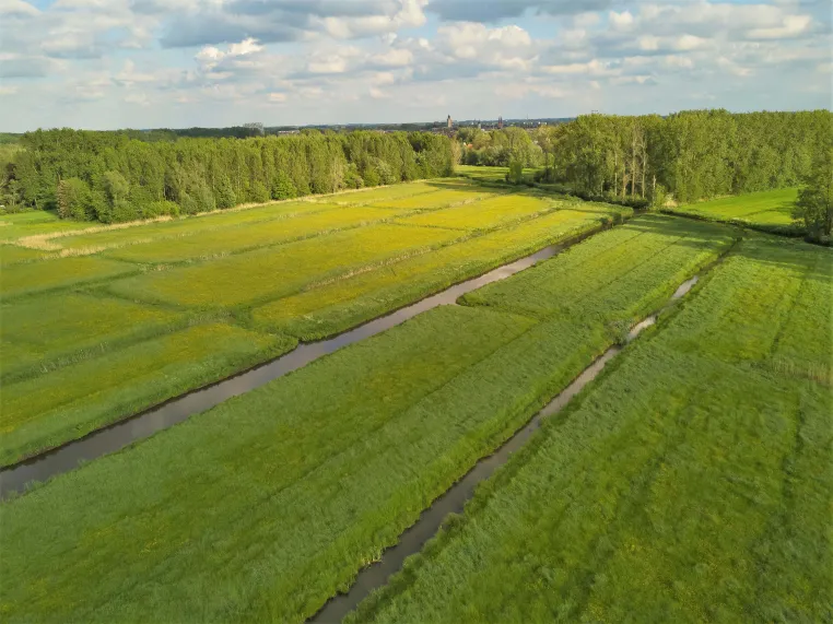 Forschungsprojekt Blue Transition zeigt Wege zu klimaresilientem Wasser- und Bodenmanagement auf Bild: Forschungsprojekt Blue Transition zeigt Wege zu klimaresilientem Wasser- und Bodenmanagement auf