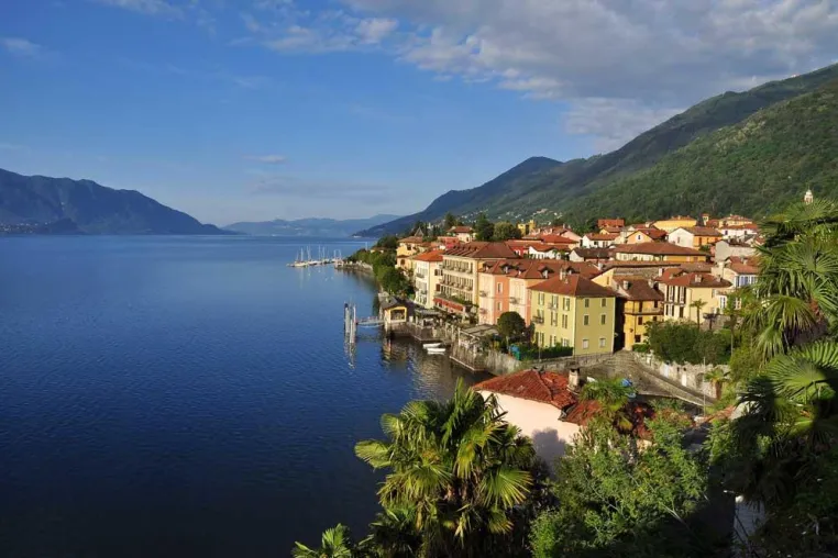 Zitronenhaine am Lago Maggiore Bild: Zitronenhaine am Lago Maggiore