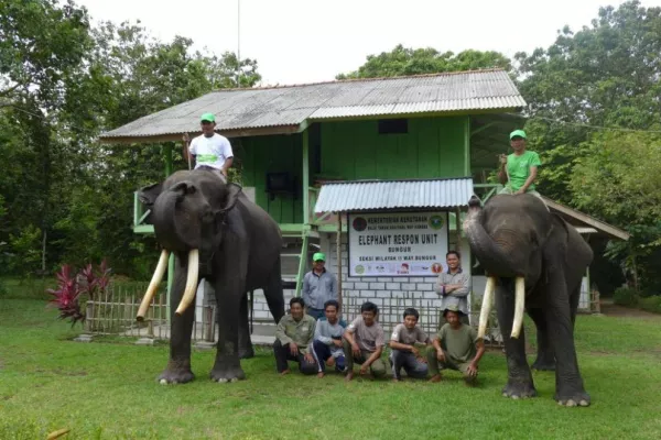 Die tierischen Diplomaten in den Wäldern Sumatras Bild: Die tierischen Diplomaten in den Wäldern Sumatras
