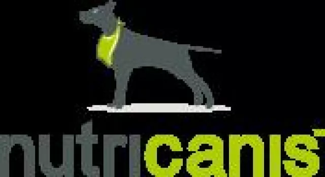 Bild: Geliebtes Familienmitglied: Immer mehr Deutsche kaufen auch ihrem Hund Weihnachtsgeschenke