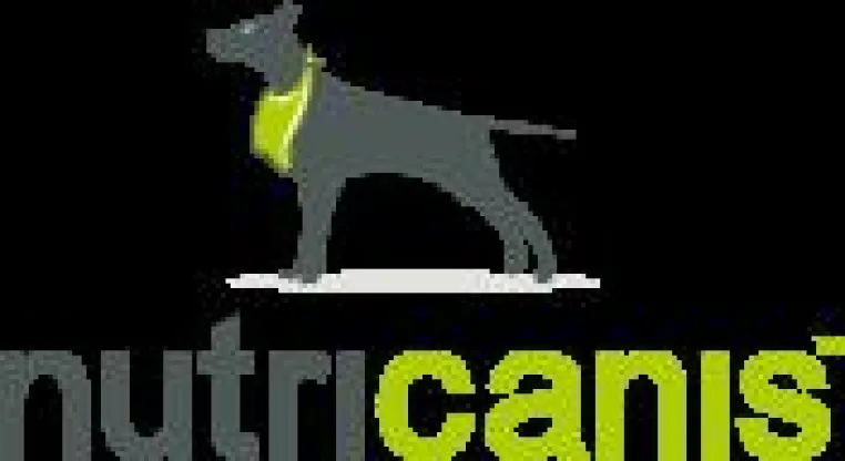 Geliebtes Familienmitglied: Immer mehr Deutsche kaufen auch ihrem Hund Weihnachtsgeschenke Bild: Geliebtes Familienmitglied: Immer mehr Deutsche kaufen auch ihrem Hund Weihnachtsgeschenke