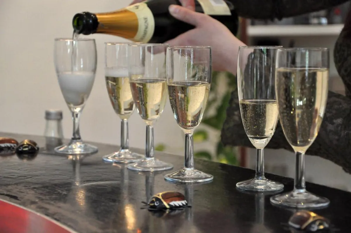 Periplaneta Verlag wird 10 Jahre alt