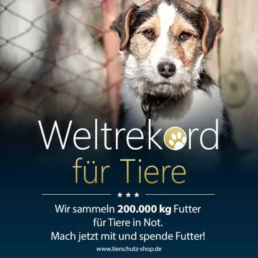 Tierschutz-Shop sammelt 200 Tonnen Futter, um Leben zu retten