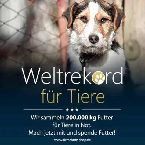 Weltrekord für Tiere Bild: Weltrekord für Tiere