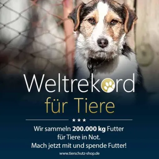 Bild: Weltrekord für Tiere