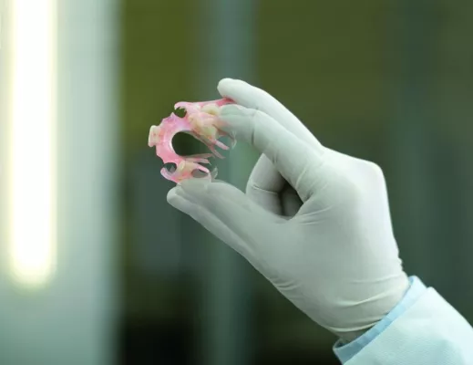 Bild: Valplast IADR-Studie der Universitäten Köln, Erlangen und Marburg