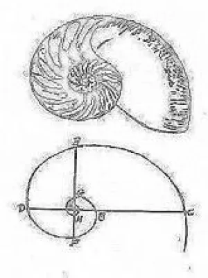 Die Wissenschaft der Gedankenführung und das amerikanische New Thought Movement Bild: Die Wissenschaft der Gedankenführung und das amerikanische New Thought Movement