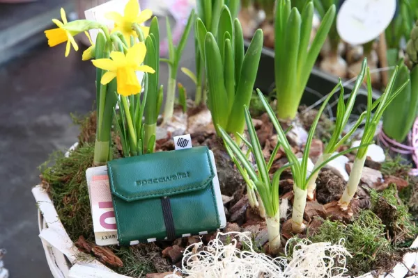 Bild: Ostergeschenk - Was die Mini Geldbörse Space Wallet so reizvoll macht