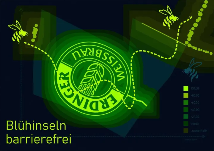 Das Startup GEOXIP vernetzt mit riesigen Bodenbildern aus Blumen Lebensräume und fördert Artenvielfalt Bild: Das Startup GEOXIP vernetzt mit riesigen Bodenbildern aus Blumen Lebensräume und fördert Artenvielfalt