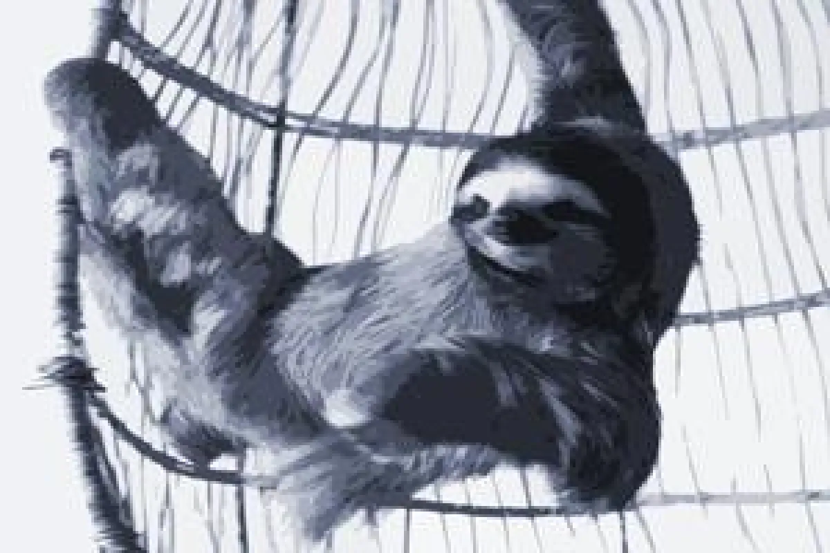 Bei der variablen Vergütung Fehler vermeiden