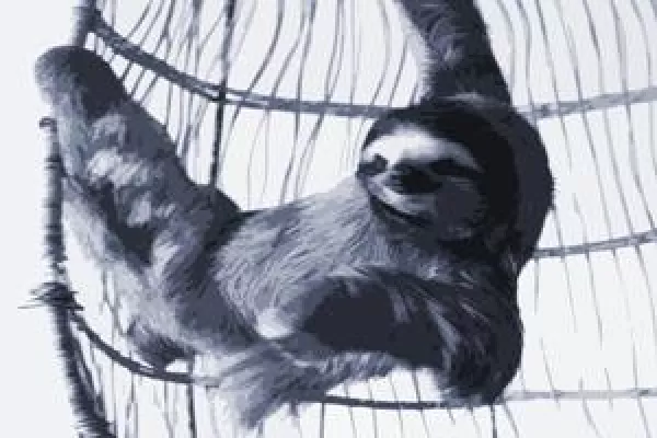 Bild: Bei der variablen Vergütung Fehler vermeiden