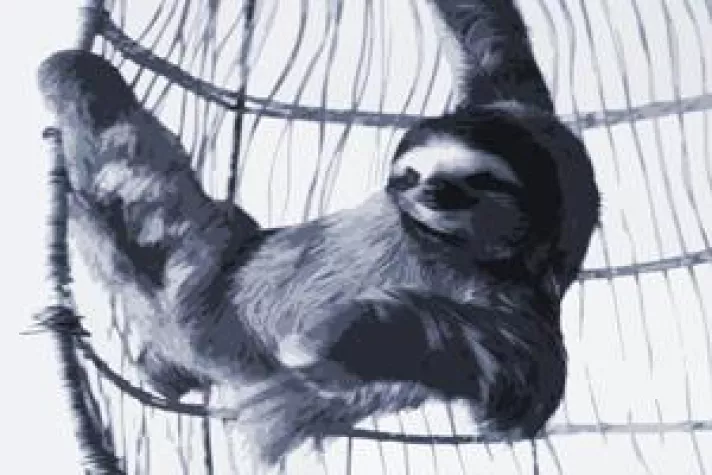 Bild: Bei der variablen Vergütung Fehler vermeiden