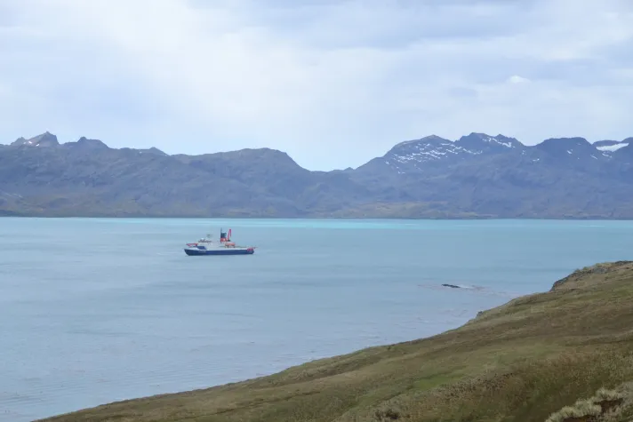 Bild: Umweltpreis der BAUM-Stiftung für Flensburger Wissenschaftlerin 