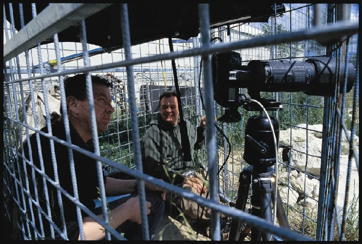 Fotograf Herbert Naujoks (li), Art Director Alan Stockbridge (re) hoffen in ihrem Käfig, dass die Tiger gut und reichlich gefrühstückt haben.