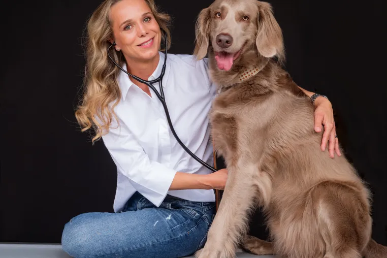Bild: Kreuzbandriss beim Hund – eine Übersicht über Symptome, Behandlungsmethoden und Nachsorge