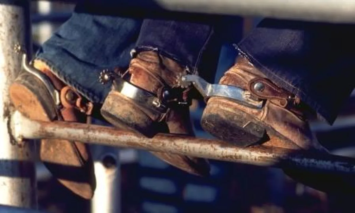 Texas Ranger: sich einmal wie ein Cowboy fühlen