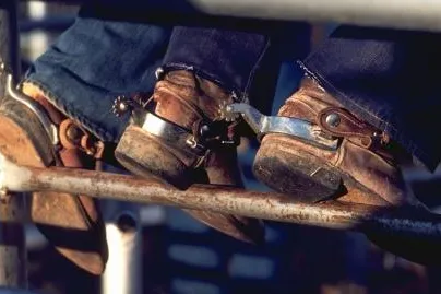 Cowboy-Feeling im Wilden Westen Bild: Cowboy-Feeling im Wilden Westen