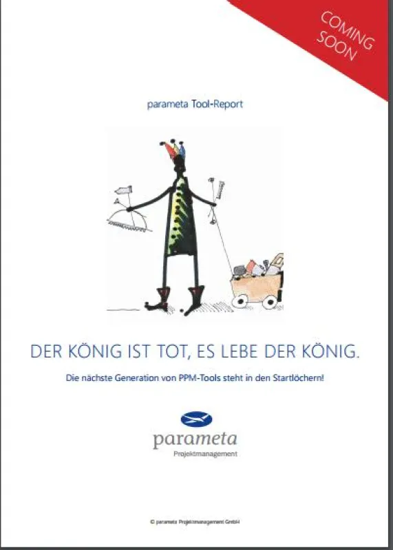 Titelbild parameta SaaS-Tool-Report