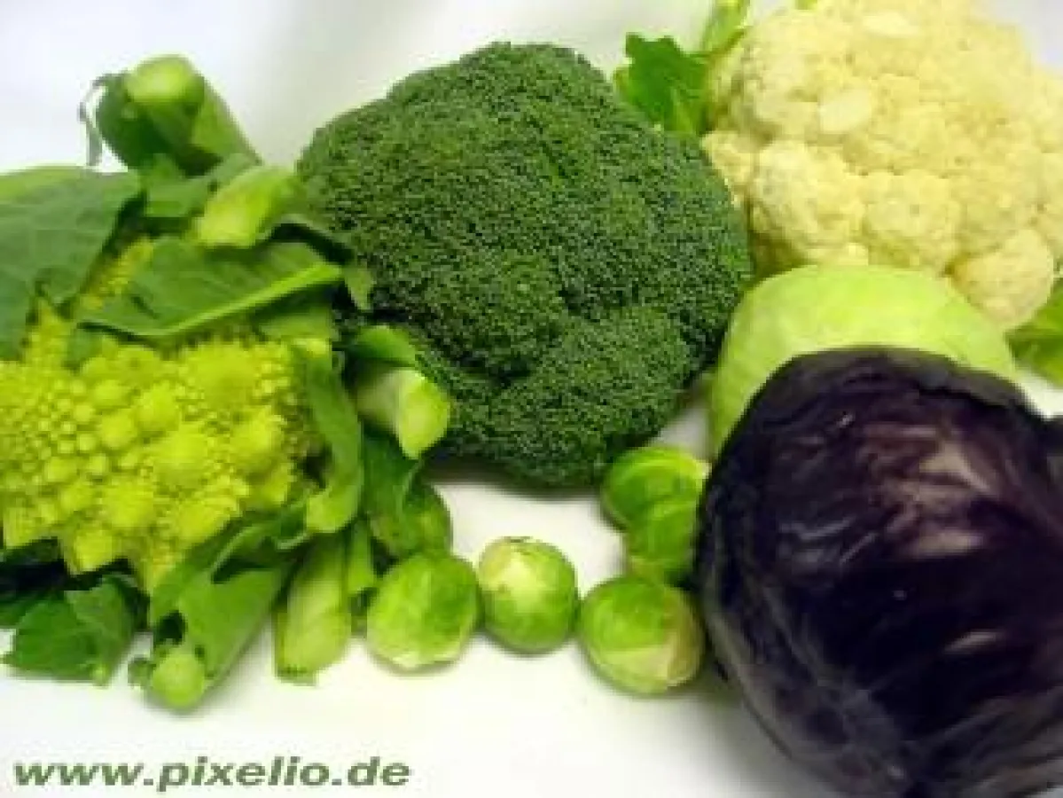 Ist rohe Nahrung wirklich gesund?