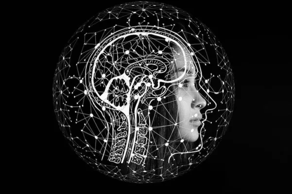 Bild: Digitalisierung in der Zahnmedizin: Neue Chancen für Implantologie und Parodontologie