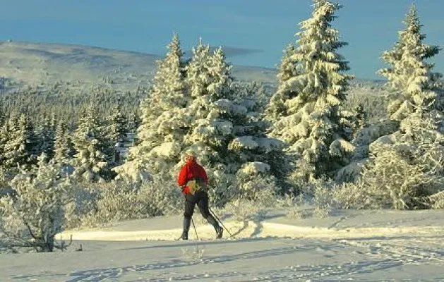 Bild: Gute bis sehr gute Pistenbedingungen in Lillehammer, Norwegen