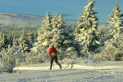 Bild: Gute bis sehr gute Pistenbedingungen in Lillehammer, Norwegen