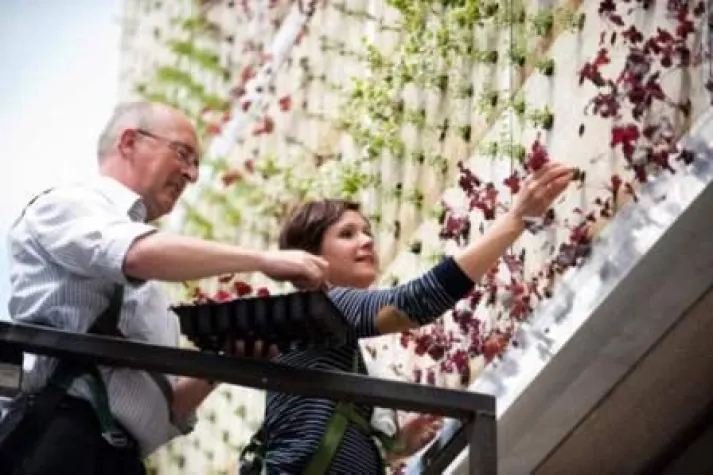 Tourismuszentrale in Hasselt zeigt sich in grünem Outfit Bild: Tourismuszentrale in Hasselt zeigt sich in grünem Outfit