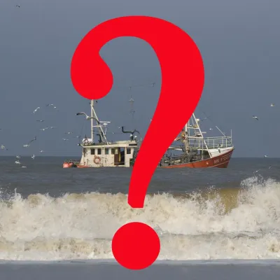 Bild: Fototechnische und bildgestalterische Tipps und Anregungen gibt der Fotoworkshop „Bildbesprechung" in Hannover