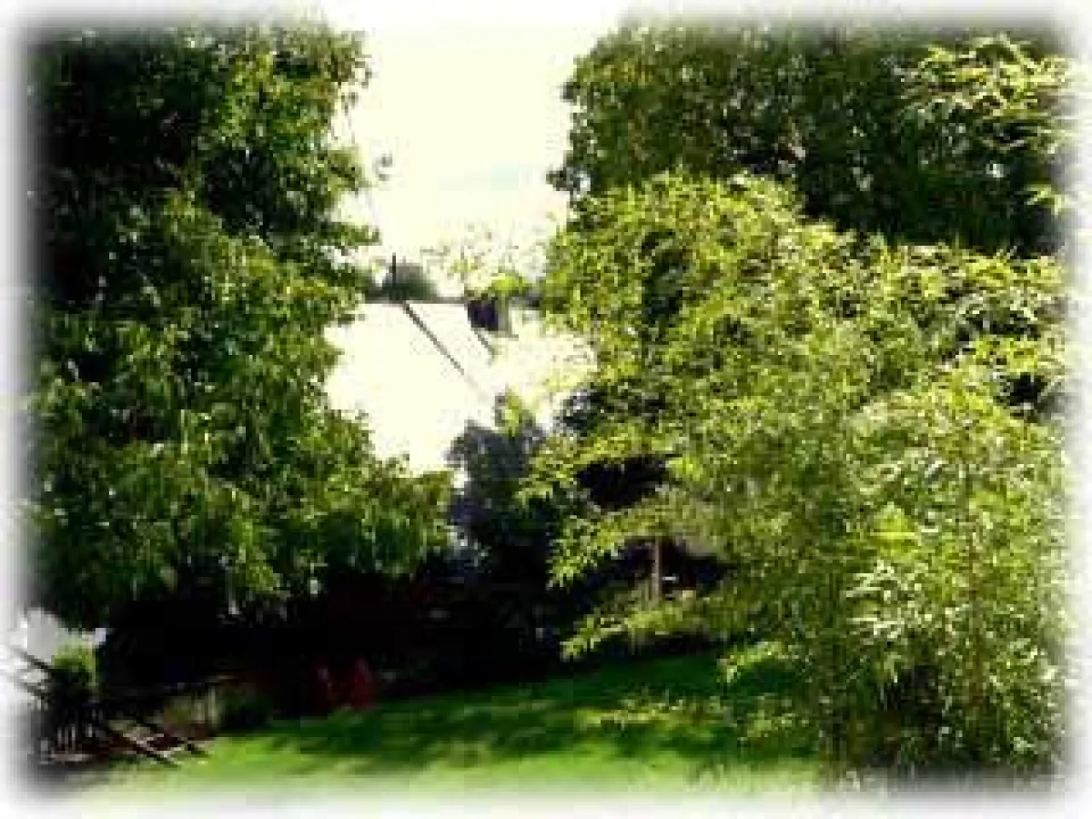 Ein Kohlenmeiler mitten im Westerwald